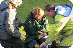 First Aid